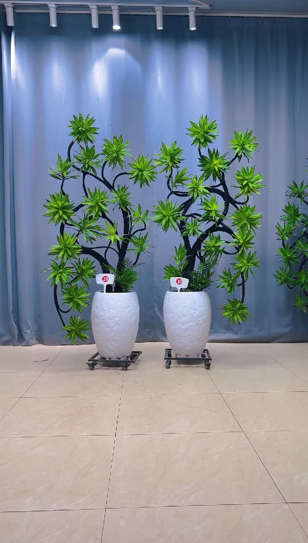 以实际为准程*金心百合竹一对