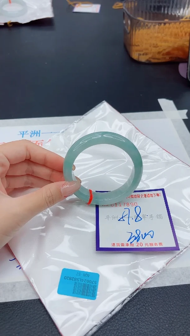 未镶嵌手镯翡翠1