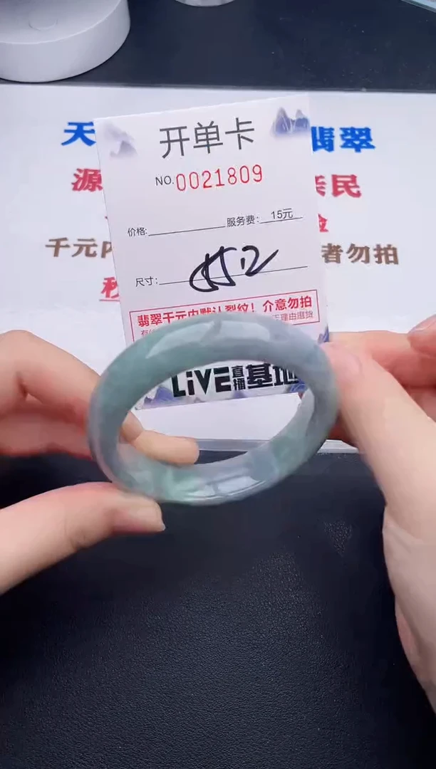 未镶嵌手镯翡翠09