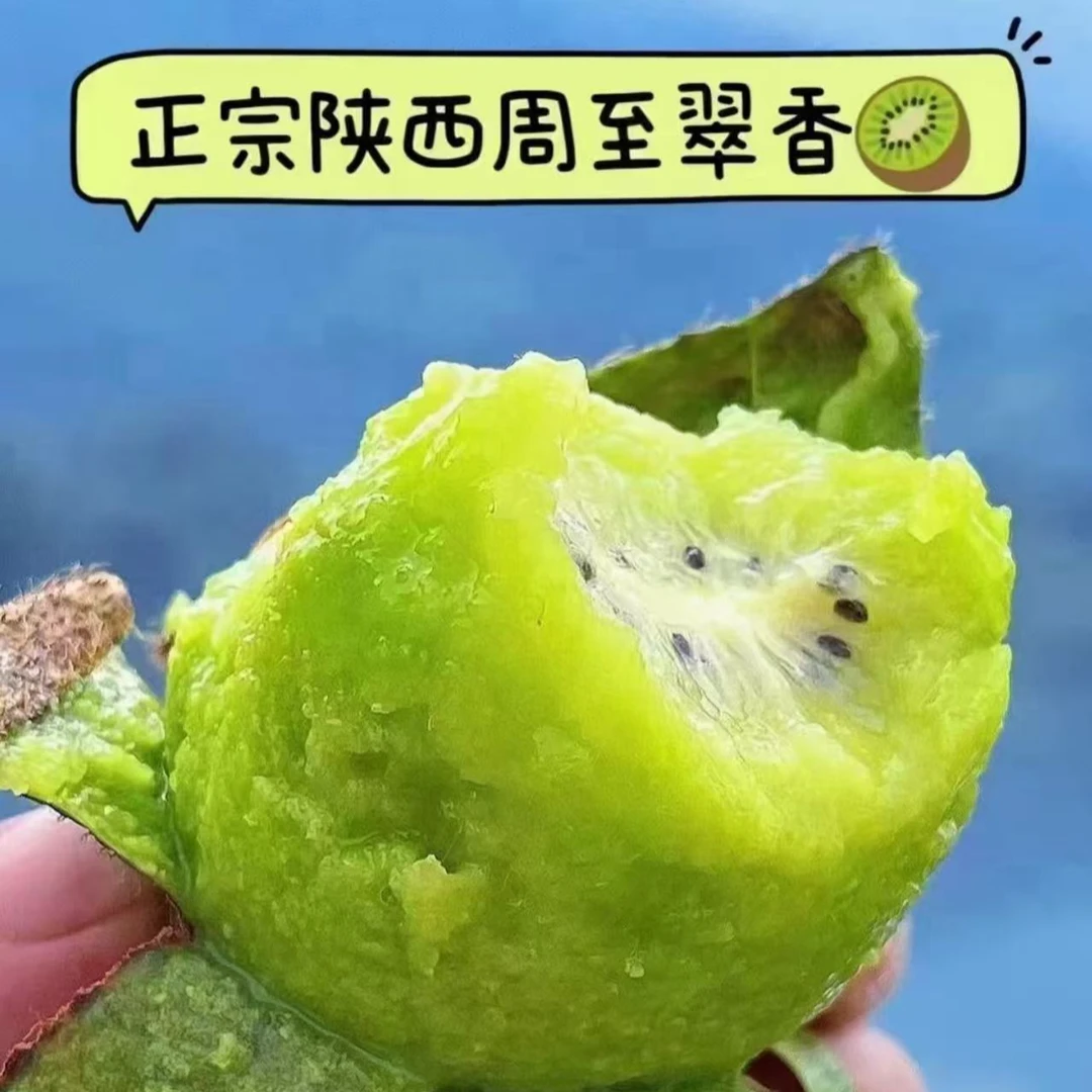 【中秋国庆礼盒】陕西周至翠香猕猴桃奇异果新鲜采摘孕妇可食