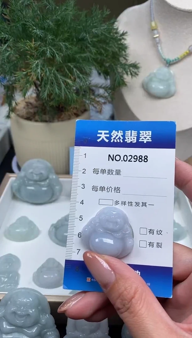 颈饰未镶嵌翡翠纯天然A货翡翠2988