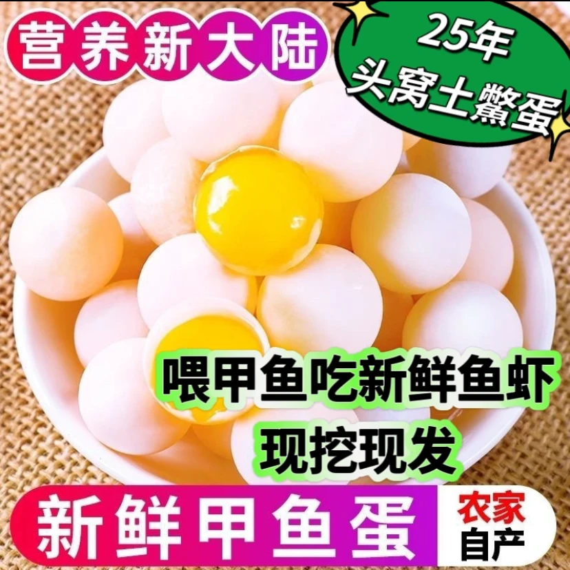 【顺丰发货】120枚 新鲜外塘甲鱼蛋 农家现挖现发【送菜谱、送料包】