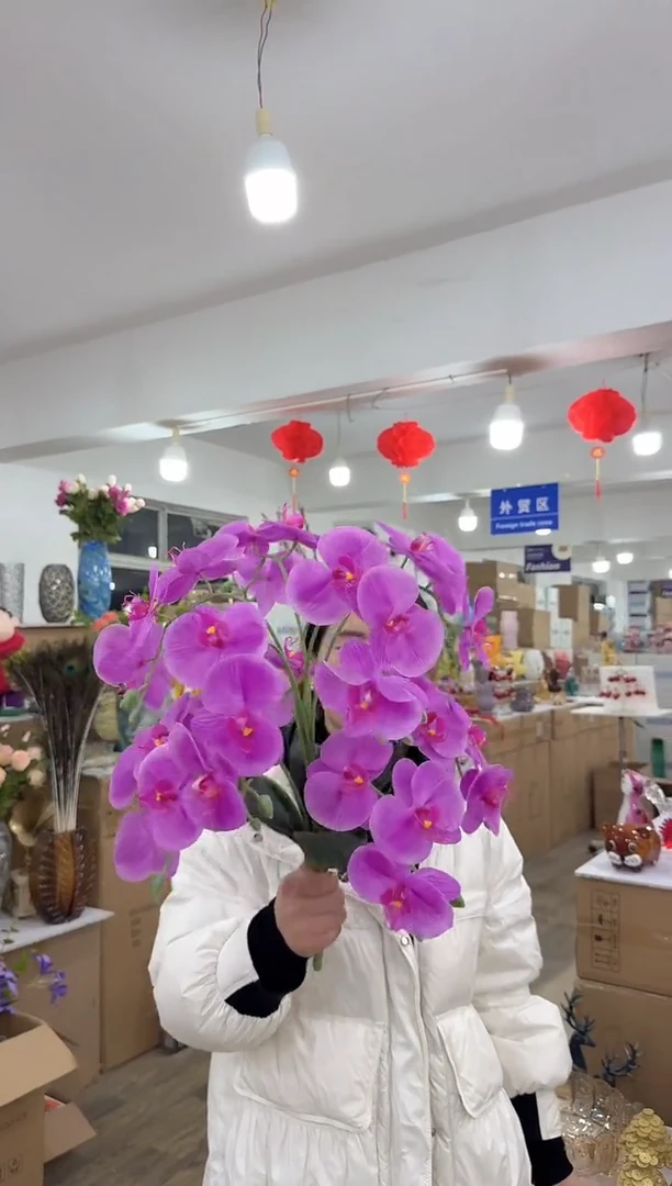 【闪购商品】无铅玻璃洛芙家居-i-早33 蝴蝶兰