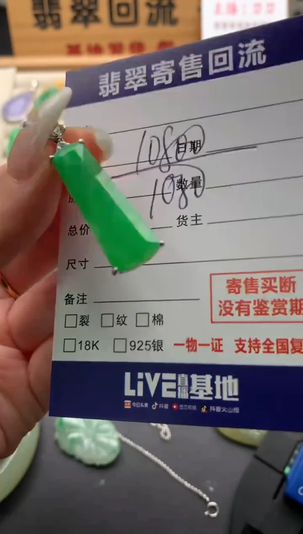 翡翠18K金镶嵌颈饰10139240