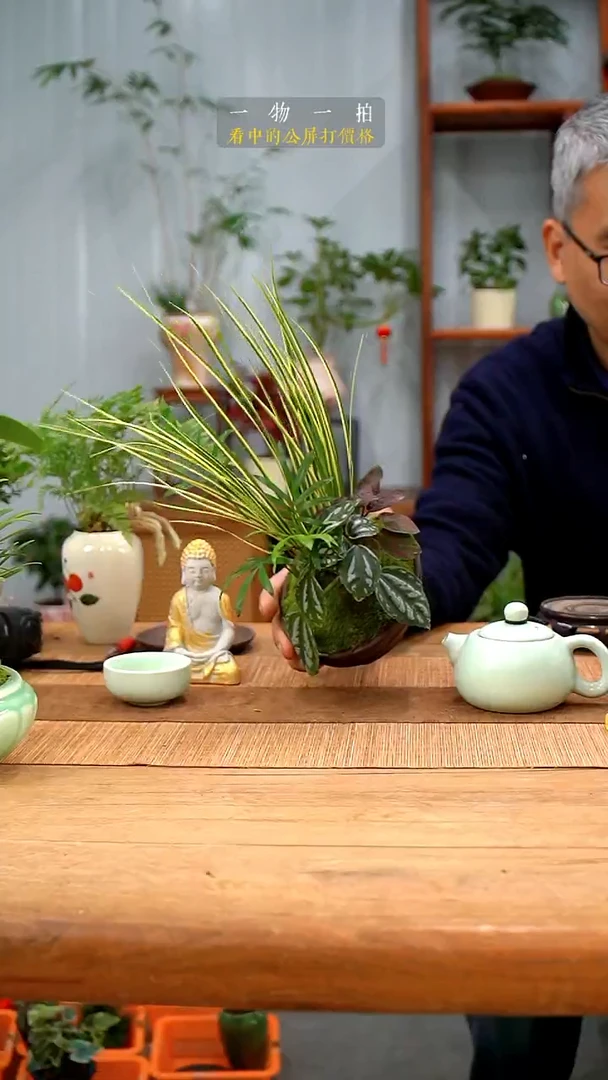 完全开放一*菖蒲420