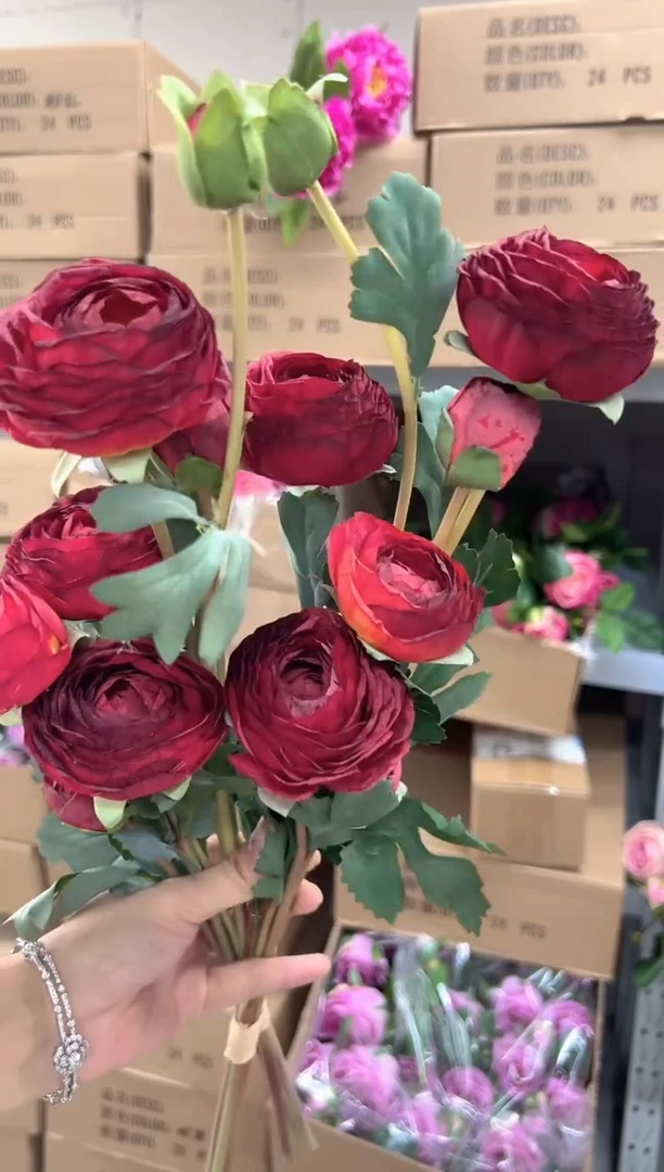 如*里2把焦边露莲洋牡丹