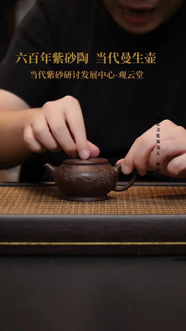 茶壶紫砂宜兴紫砂壶老脂泥暗香浮动