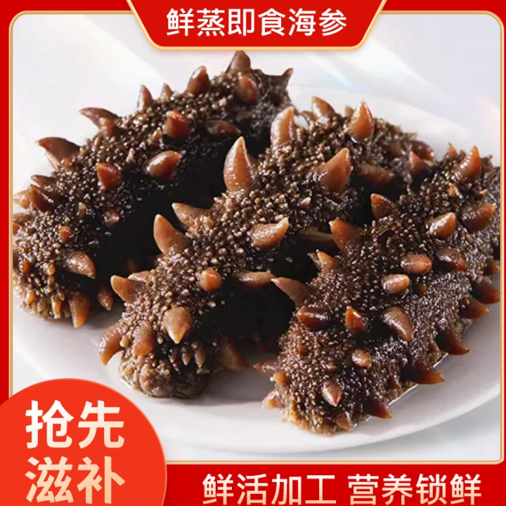 鲜食海参5-7（一斤）头海参营养新冷冻食用冷链直发冷冻保存