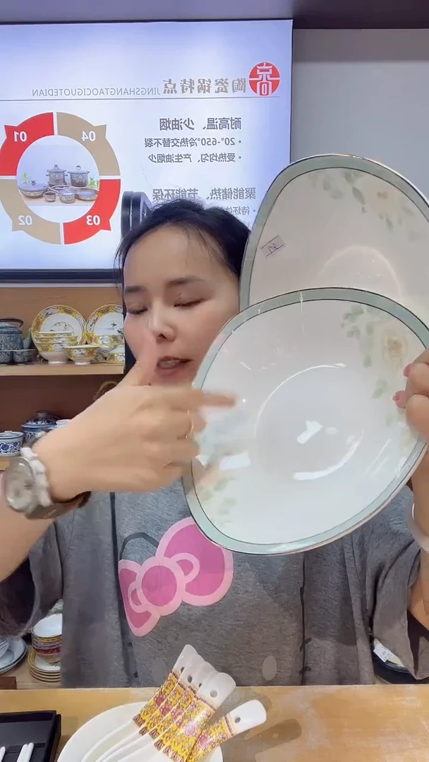 瓷片2个菜盘的瓷器