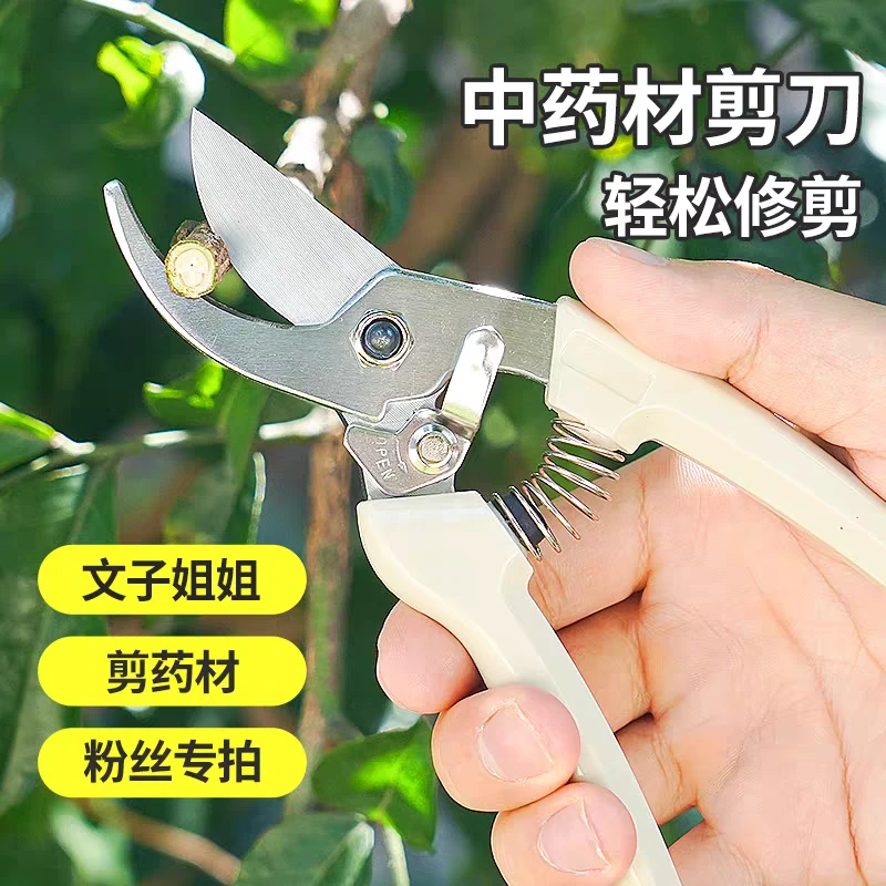 【文子姐姐粉丝剪药材专拍】蟾虫713N剪中药材剪刀中药剪西洋参