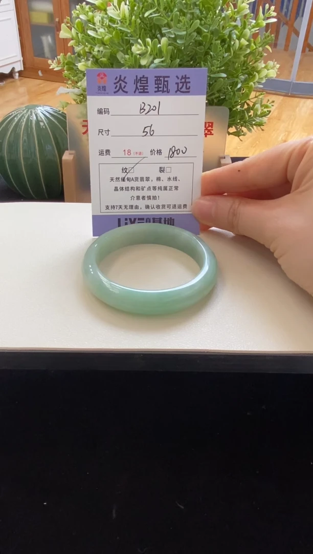 未镶嵌手镯翡翠圈口56编码b201