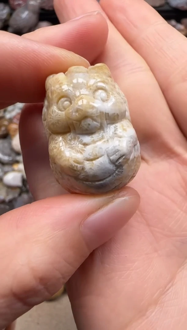 【闪购商品】硅化珊瑚（珊瑚玉）颈饰未镶嵌085