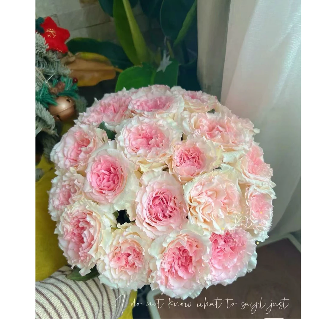 冰淇淋洛神玫瑰（奶油色/波浪花边）