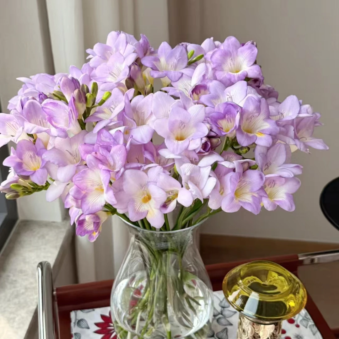 【紫苑纱（深紫色）香雪兰】任意不含加购商品两单包邮，偏远10元运费