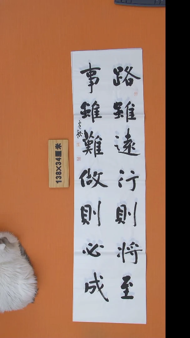 书法杨老师精美作品138*34