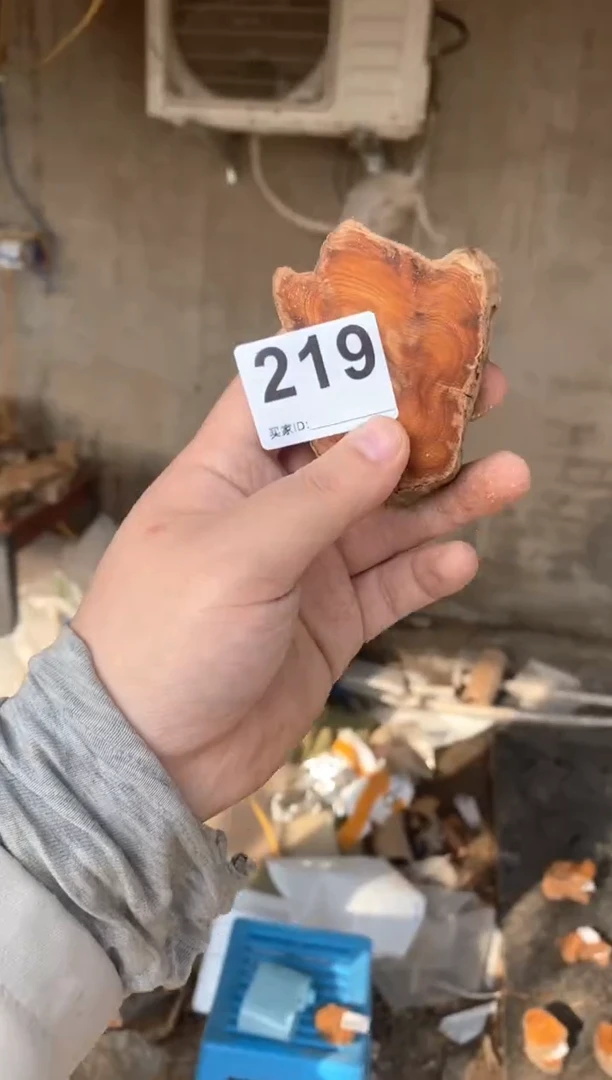 【闪购商品】柏木太行陈化崖柏（津诚林）切片