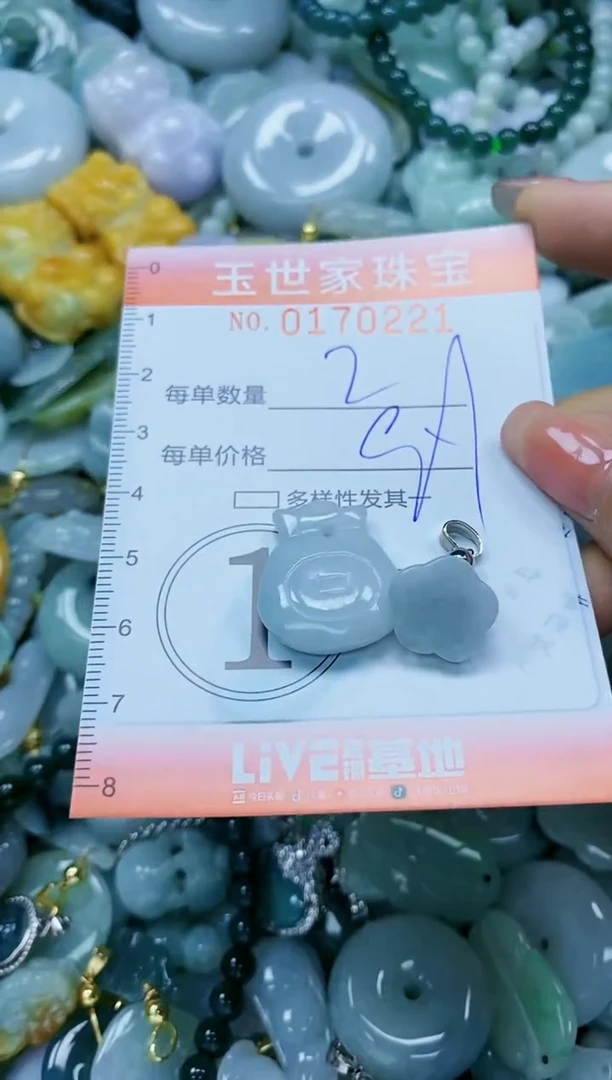 【闪购商品】翡翠颈饰未镶嵌闪购0170221