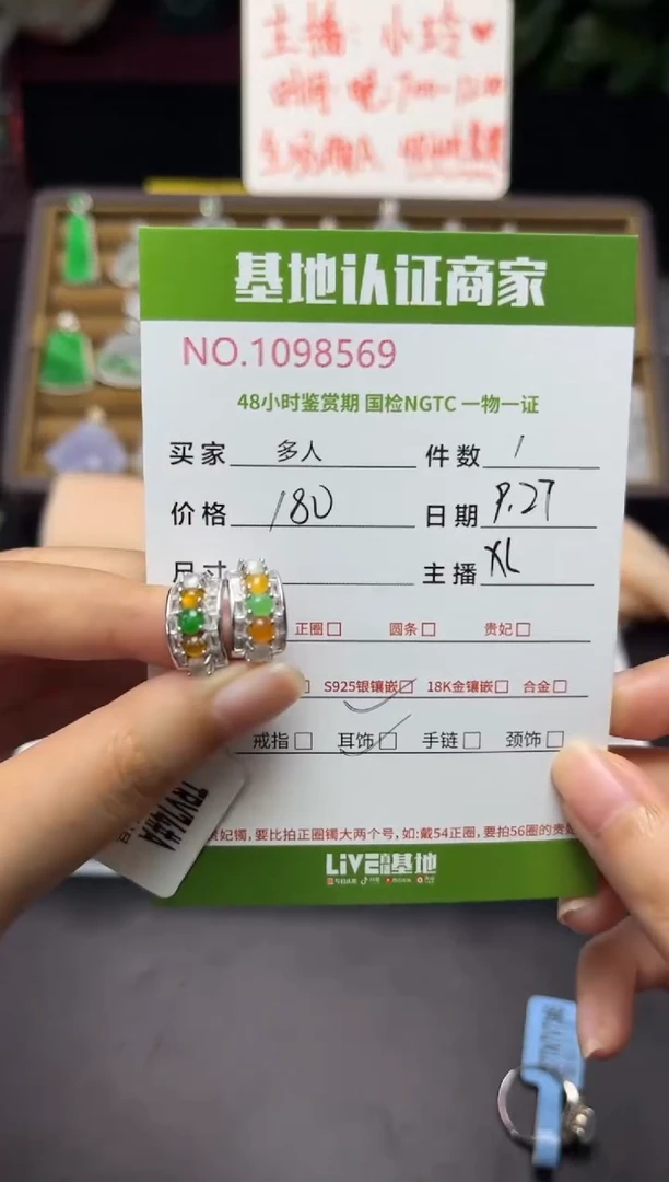 银S925镶嵌翡翠耳饰多人