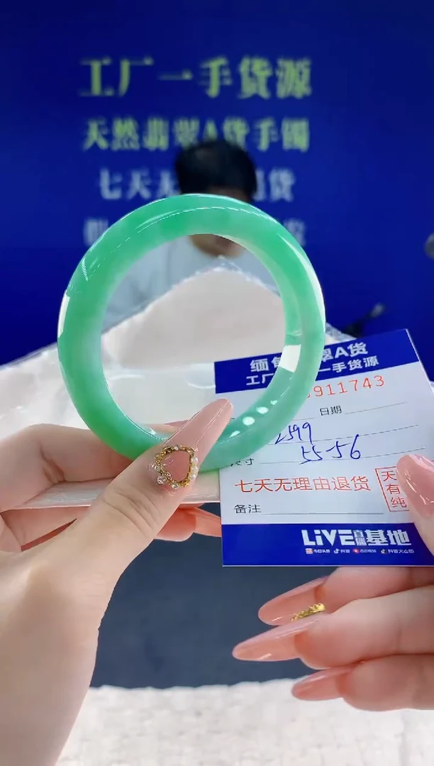 未镶嵌手镯翡翠43