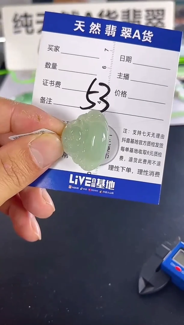 颈饰未镶嵌翡翠天然A货缅甸翡翠