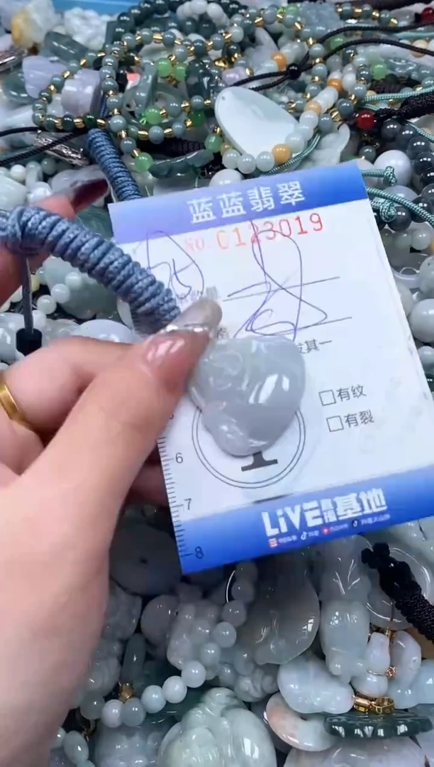 【闪购商品】翡翠颈饰未镶嵌闪购0123019多样性发其一