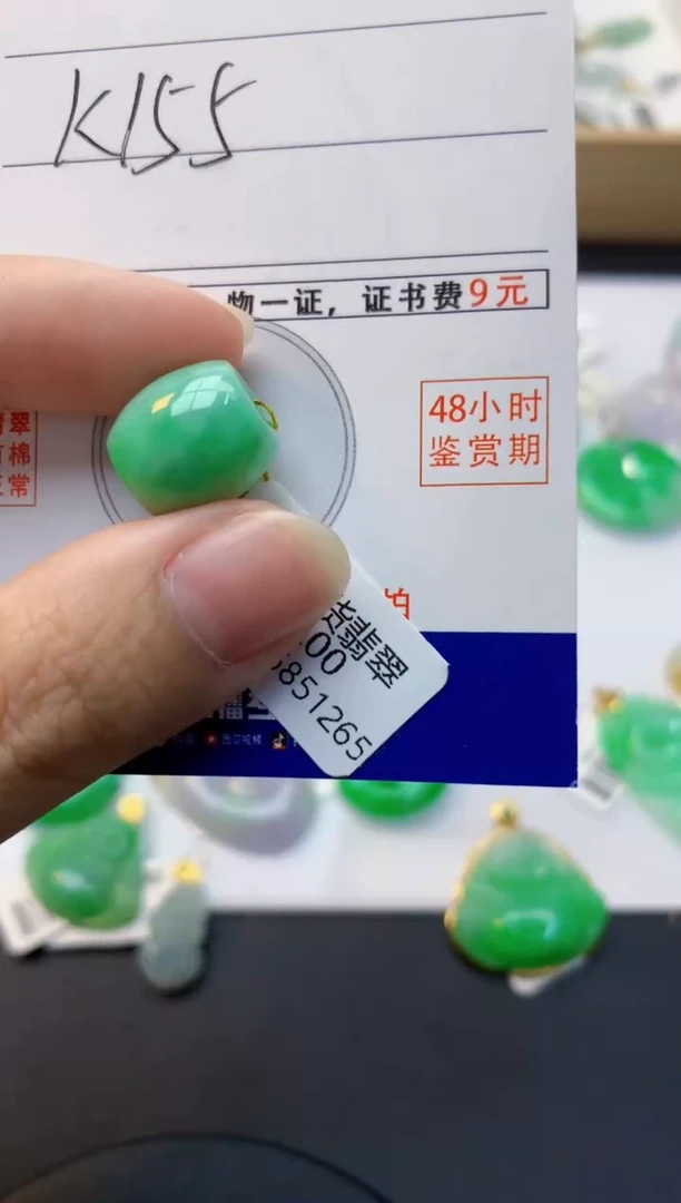 颈饰未镶嵌翡翠天然缅甸A货翡翠