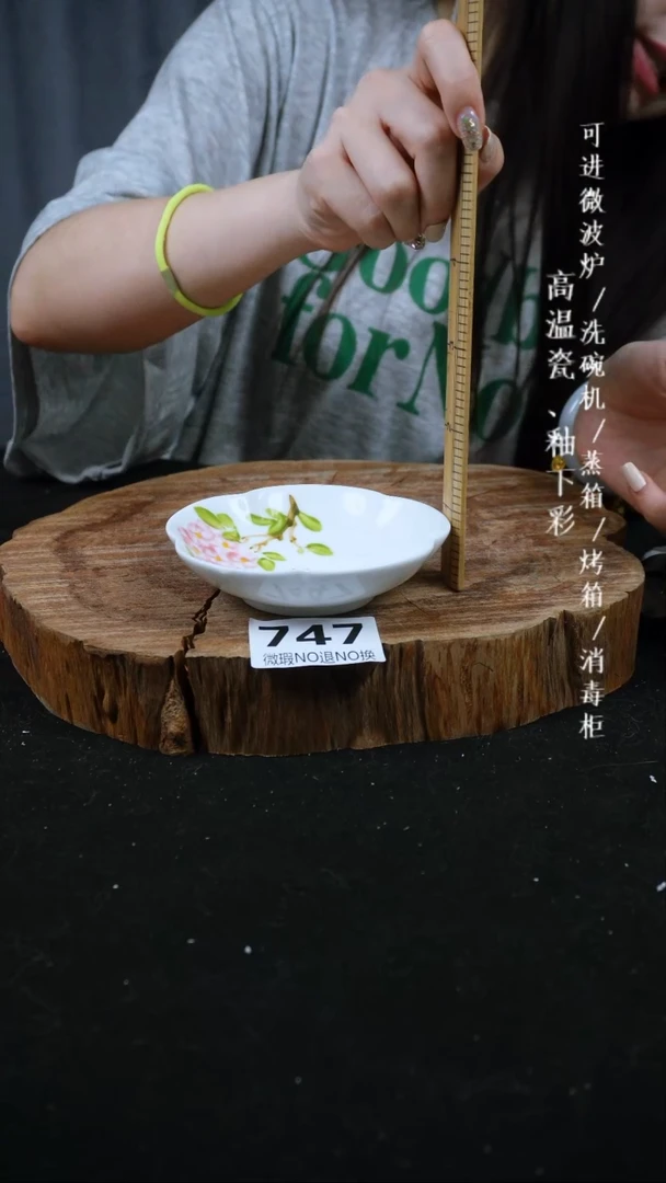 其他高温瓷（小碟）微瑕747