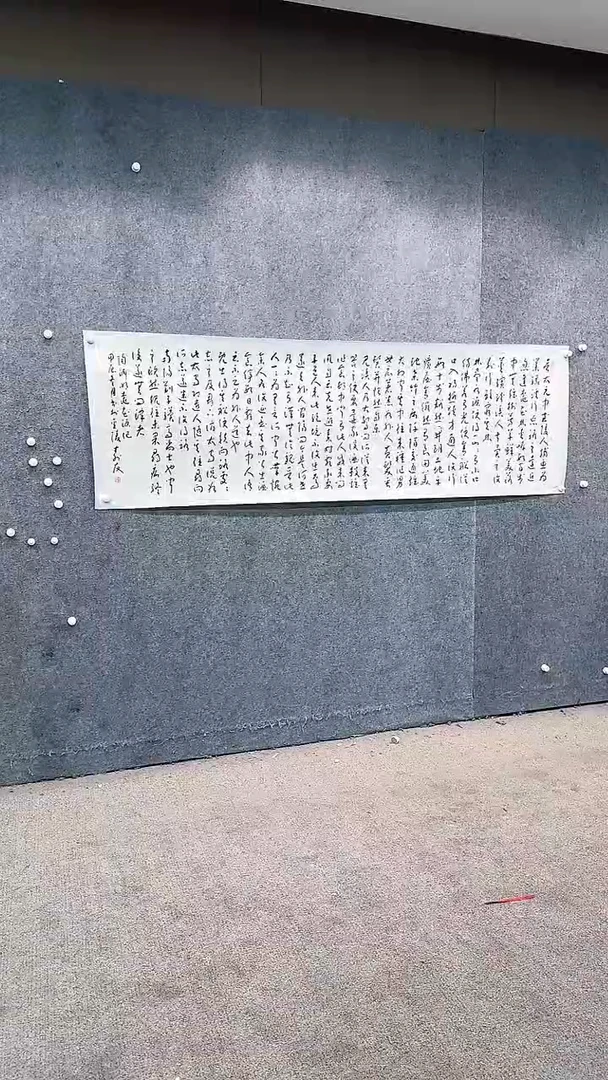 【闪购商品】书法pmw不二轩旗舰店书法ZSY54