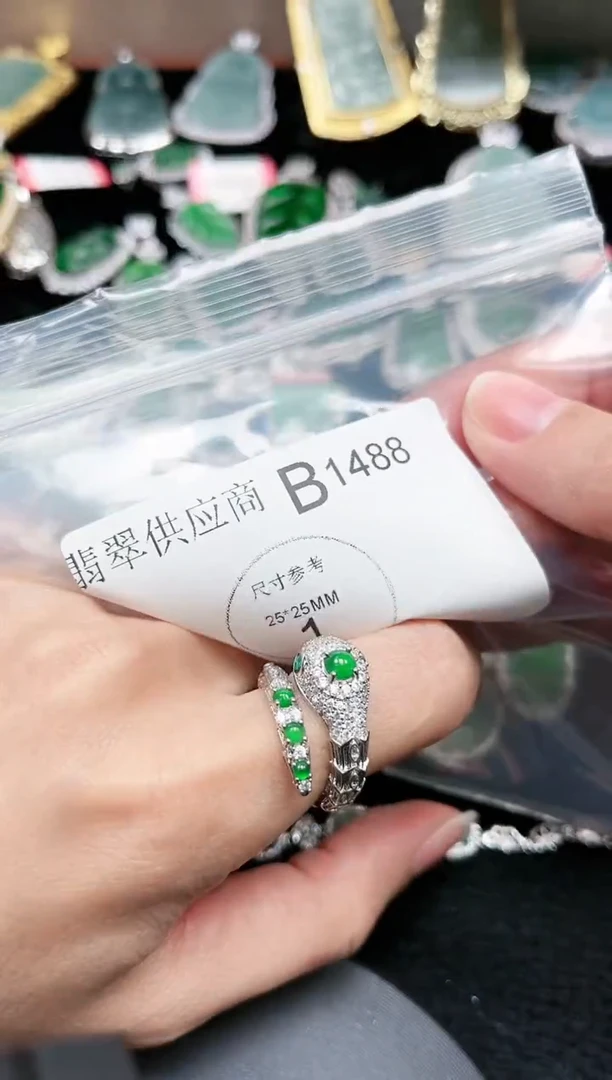 【闪购商品】翡翠颈饰未镶嵌赠皮绳1488