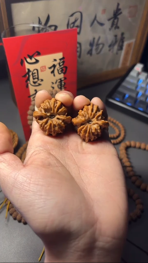 【闪购商品】金刚菩提手串曹大龙爆修