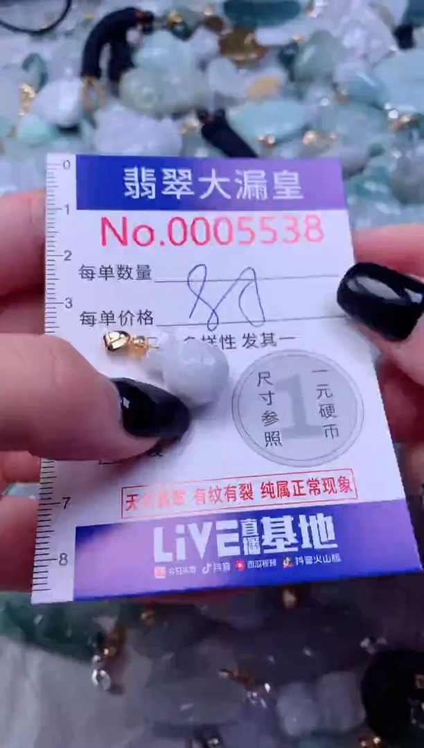 颈饰未镶嵌翡翠5538
