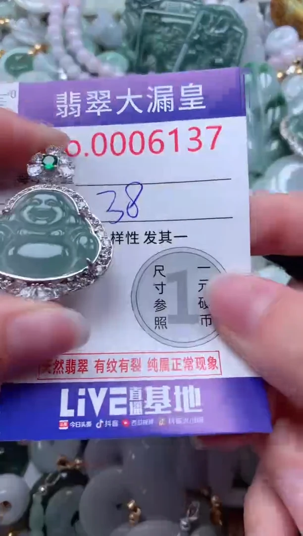 翡翠未镶嵌吊坠(不含链)6137