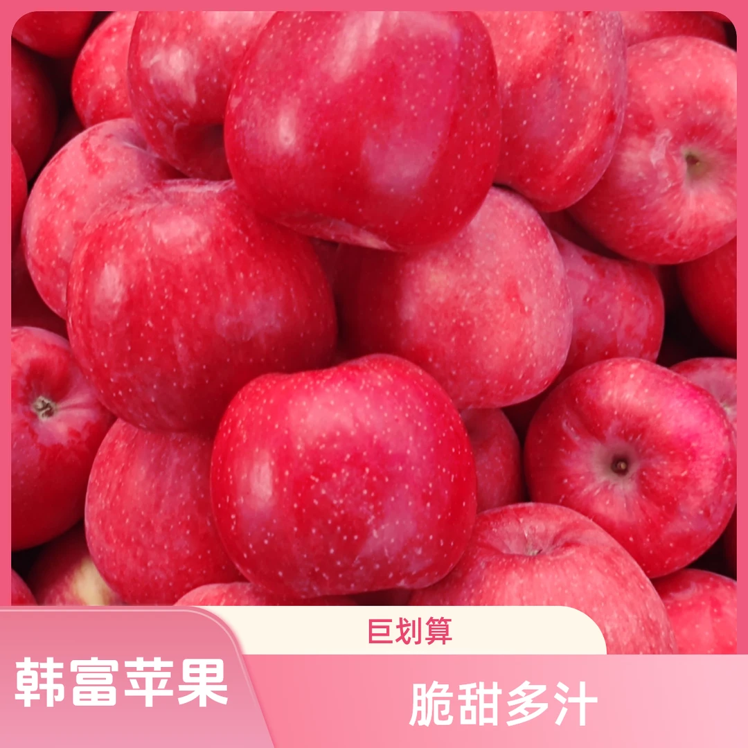 韩富苹果  爽口多汁 皮薄肉脆，果肉细腻