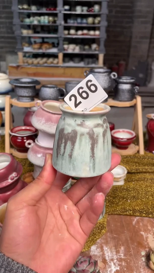 【闪购商品】摆件266知木小芳花盆直播编号