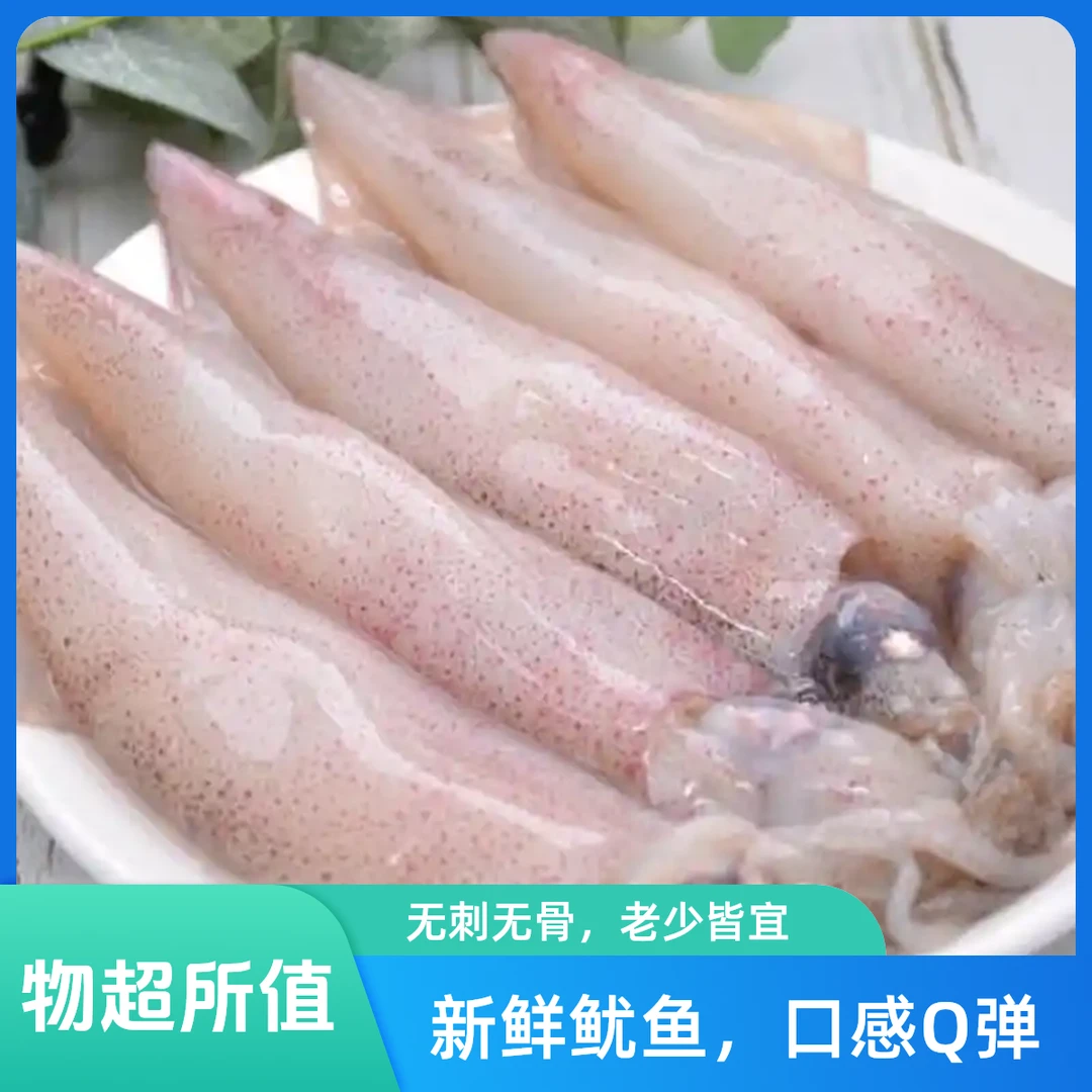 笔管蛸500g