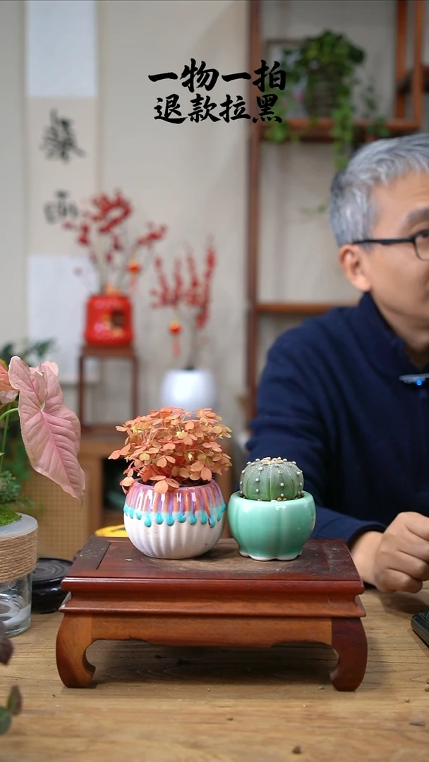 完全开放奶*包星斗+熔岩418