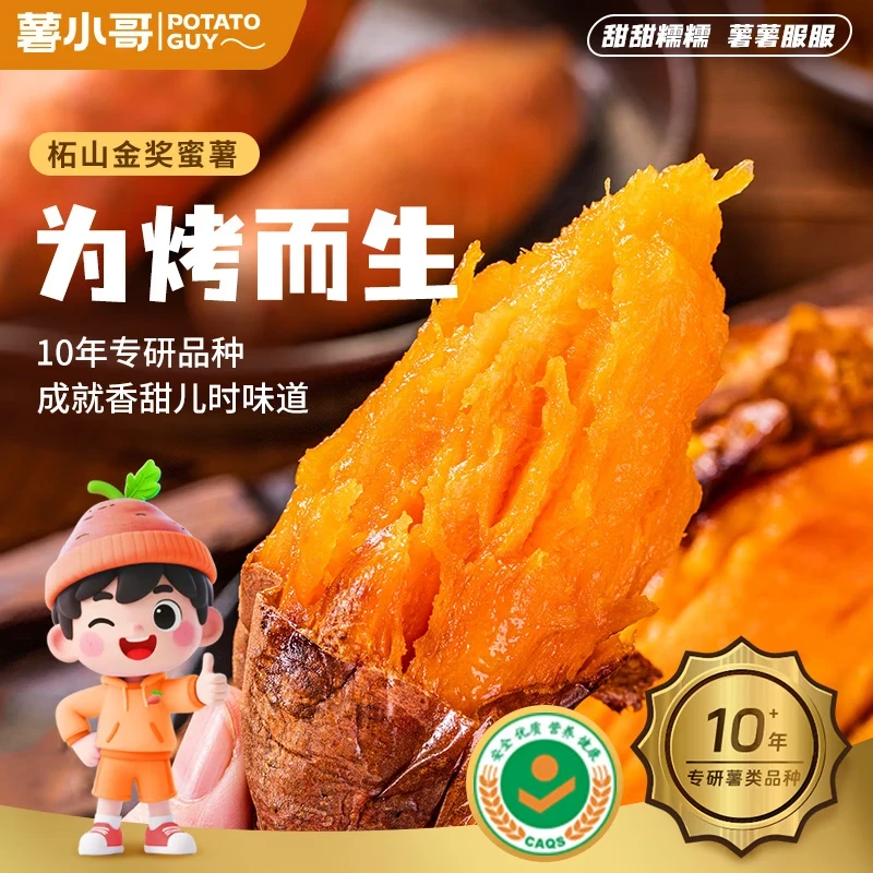 山东柘山正宗黄金蜜薯软糯流油烤蜜薯入口即化黄金蜜薯山东省