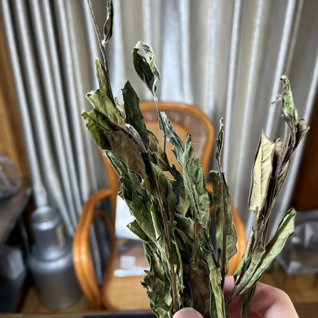 【23年荒野老枞】荒野老树寿眉 可闷煮泡