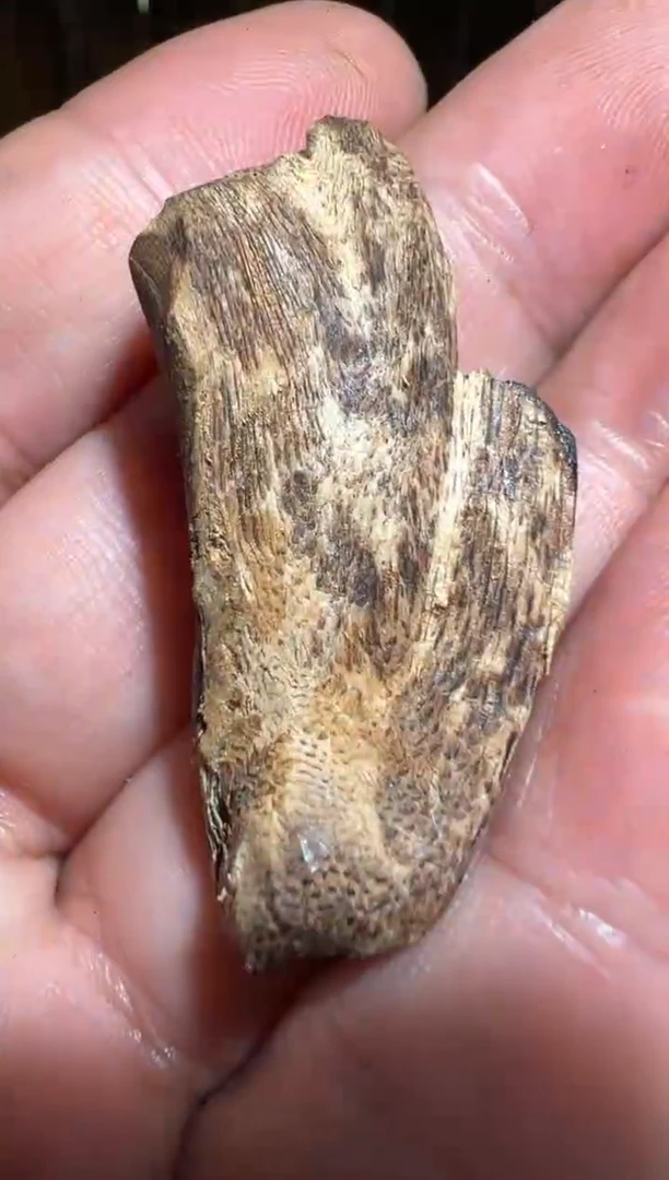 沉香沉香碎屑莱特1.7克