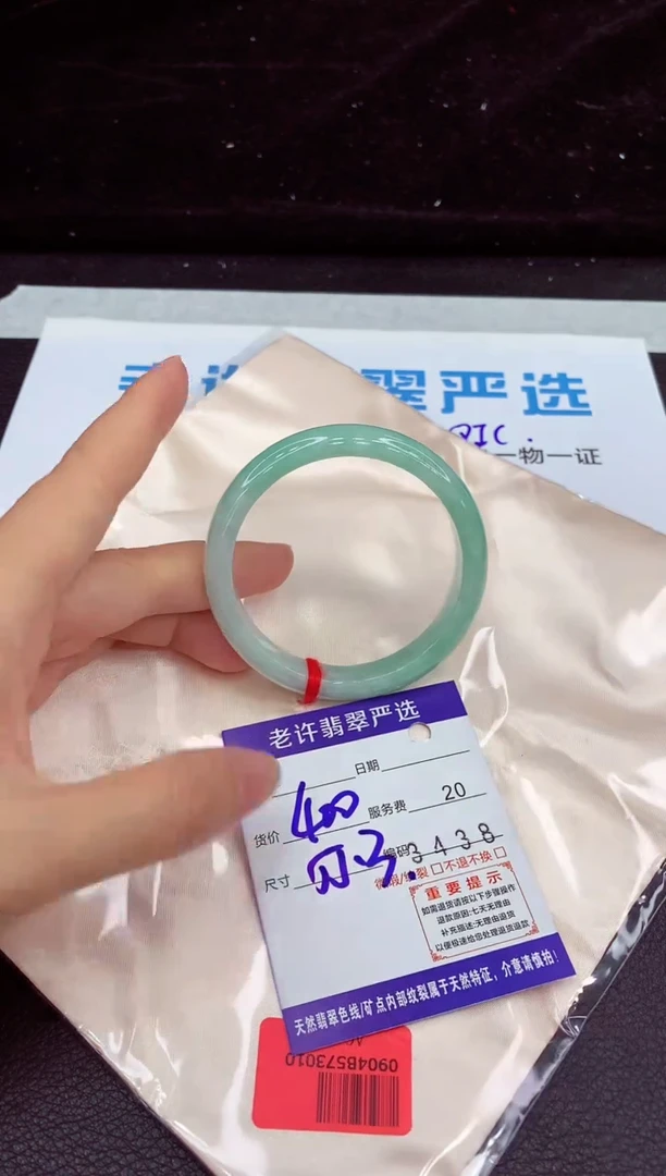 未镶嵌手镯翡翠1