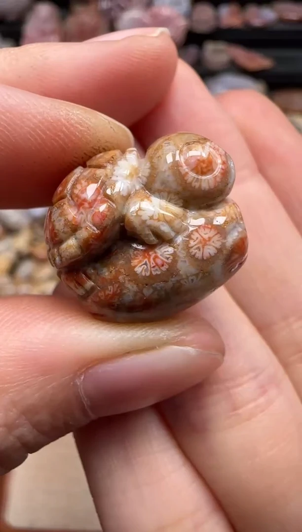 【闪购商品】硅化珊瑚（珊瑚玉）颈饰未镶嵌491