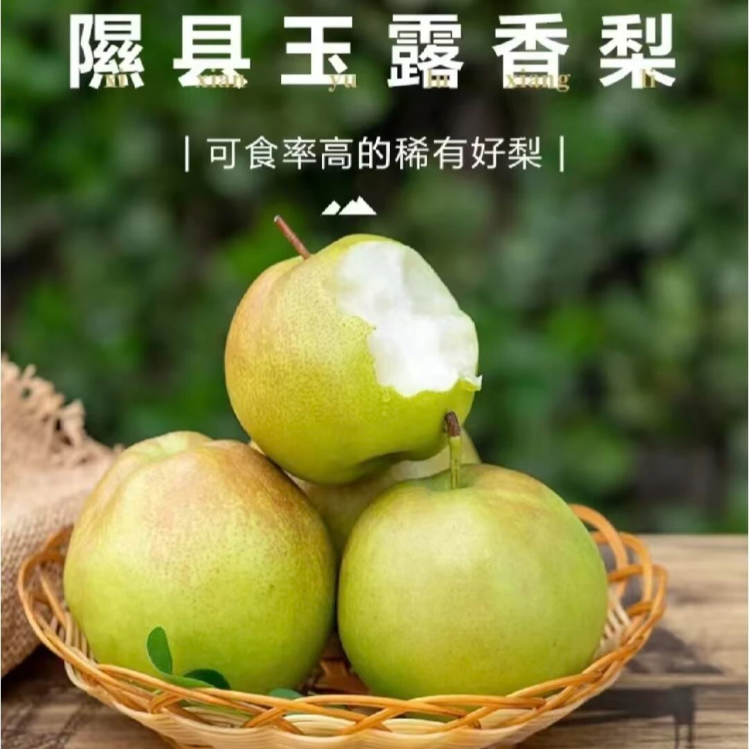 【交城慧姐专属】正宗山西隰县玉露香梨