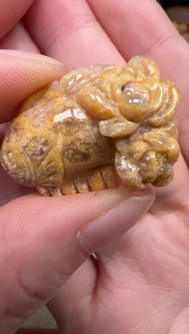 硅化珊瑚（珊瑚玉）未镶嵌颈饰817