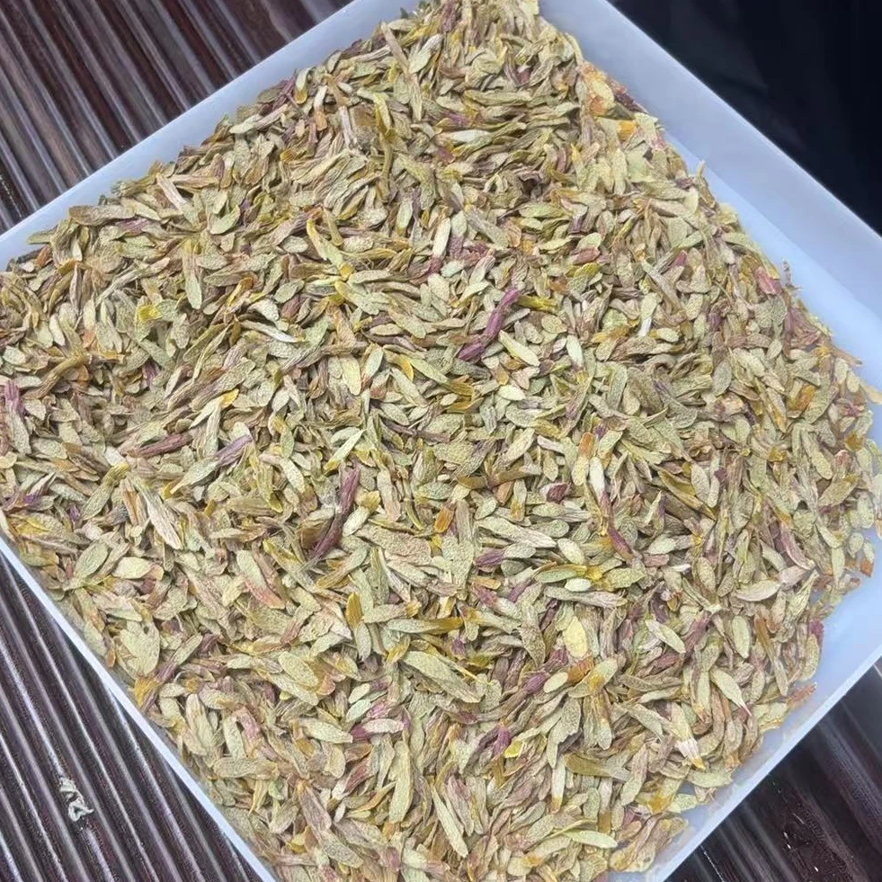紫芽铁皮石斛片 胶多无渣新鲜石斛鲜条切片