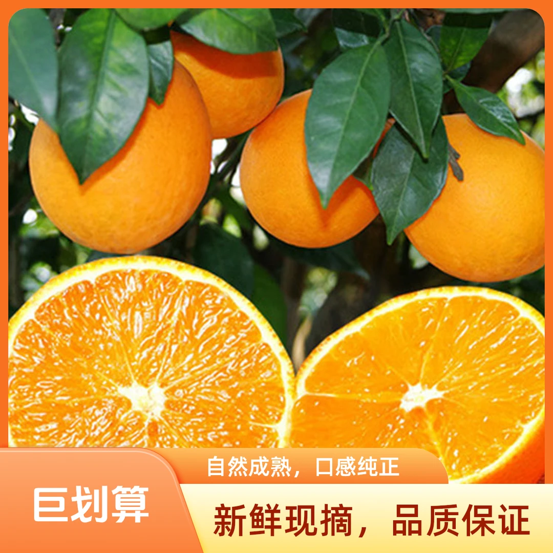 赣南脐橙礼盒一箱