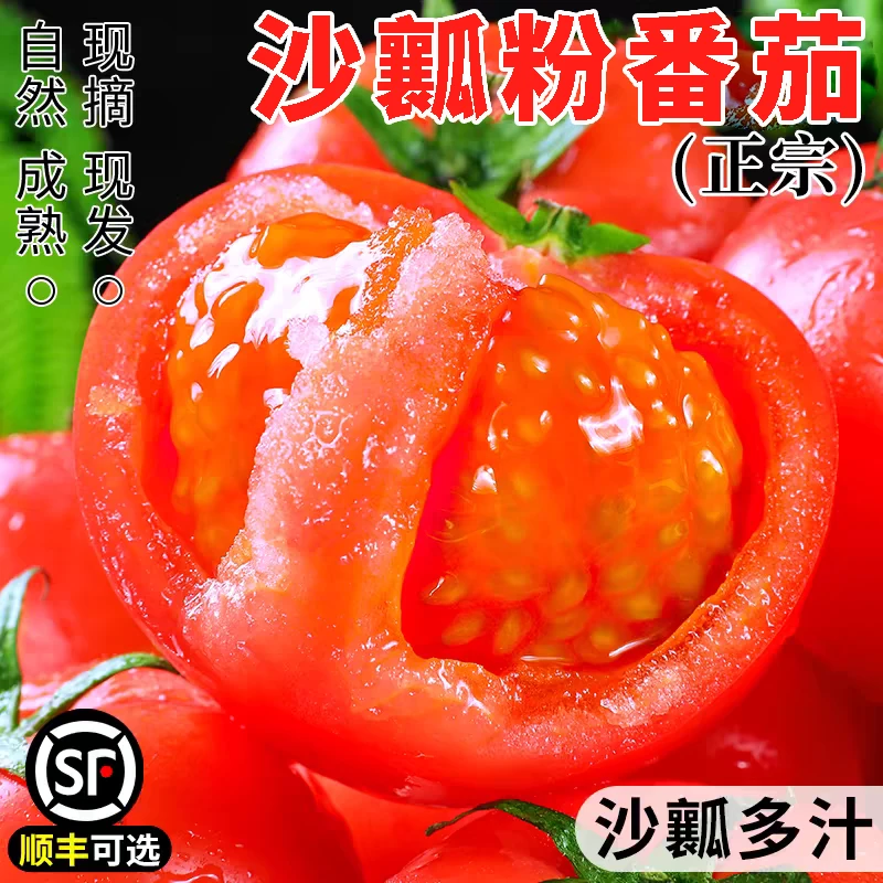 【顺丰包邮】BC/热宝云南高山露天沙瓤番茄粉果西红柿现摘现发
