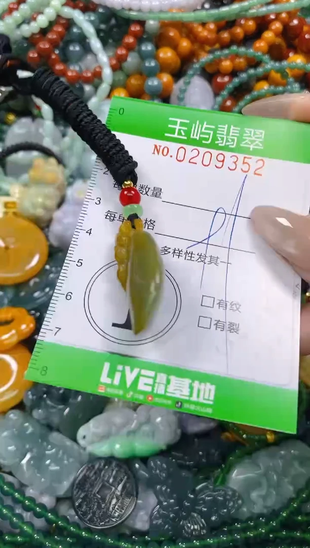 颈饰未镶嵌翡翠闪购0209352