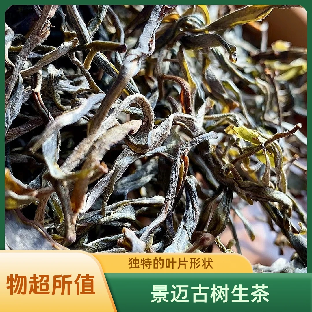 景迈山生普洱茶原料晒青毛茶