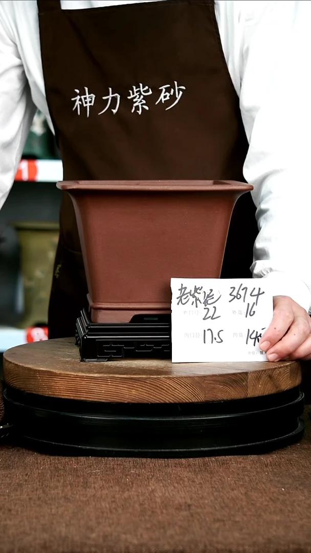 紫砂花盆花卉园艺3674+S