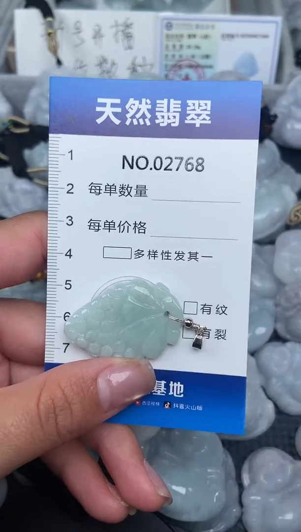 颈饰未镶嵌翡翠纯天然A货翡翠2768